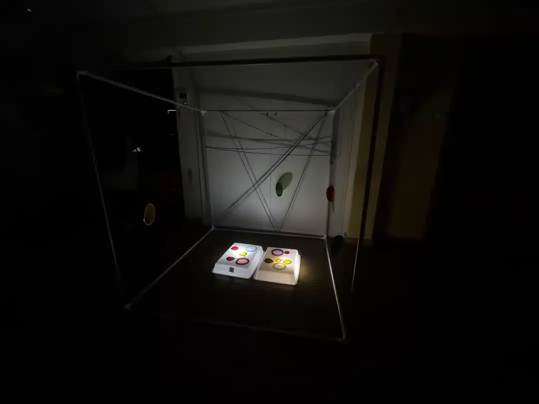À descoberta da arte, da luz e da cor